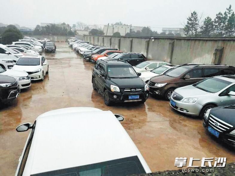 　　长沙县黄花镇谷塘村粟心屋组的这个私人停车场，停满了各种被扣押的车辆。受访者 供图