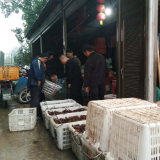 南县武圣宫镇：小龙虾丰收，虾农早起卖虾乐开怀