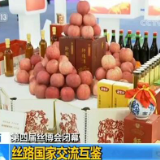 第四届丝博会在西安闭幕 丝路国家交流互鉴