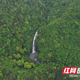 徒步雪峰山⑯丨黄溪村：山有珍稀，村有古韵