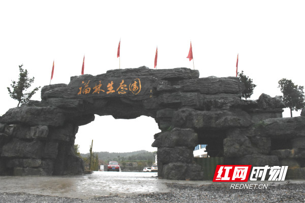 DSC_0648_wps图片.JPG