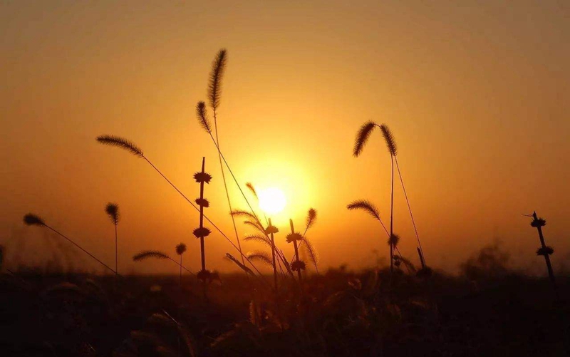 timg (15).jpg timg (15).jpg