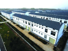 省自然资源厅进一步规范和改进全省城乡建设用地增减挂钩工作