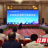 中博会·时刻①丨做湘商品牌的有力塑造者 中部地区湘商代表共话“英雄城”