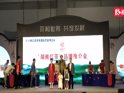 视频丨湖南“五色湘茶”惊艳亮相中国国际茶叶博览会