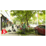 冷水滩：美化城市环境 城市“美容师”在行动