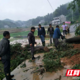 桃江大栗港村干部紧急处置两处山体滑坡