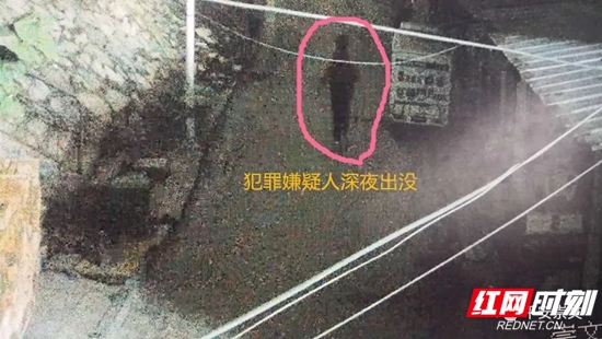 640 (1).webp_副本.jpg