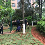 裸露的黄土地穿上了“绿衣服” 助力蓝天保卫战