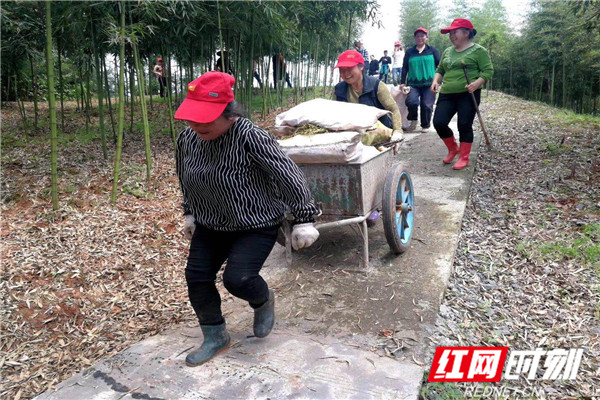 微信图片_20190520094329_副本.jpg