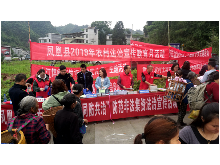 凤凰县农村法治宣传教育月活动正式启动