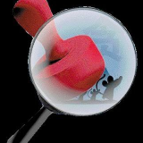 “靠山吃山”式腐败吃掉了党心民心