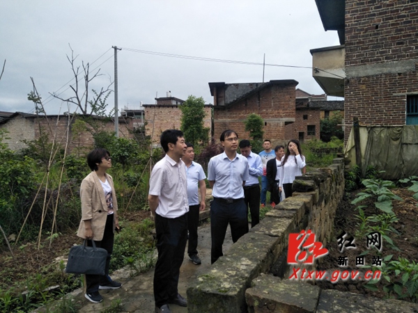 王佑生深入新圩镇万年村调研指导