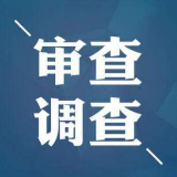 龙山县正科级干部郑年东接受审查调查
