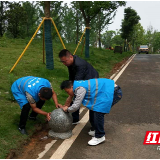 汽车开进绿地“睡大觉” 街道专项行动“除顽疾”