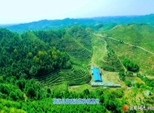 【户帮户亲帮亲】12家合作社，这样带动桃源2000余户林农增收