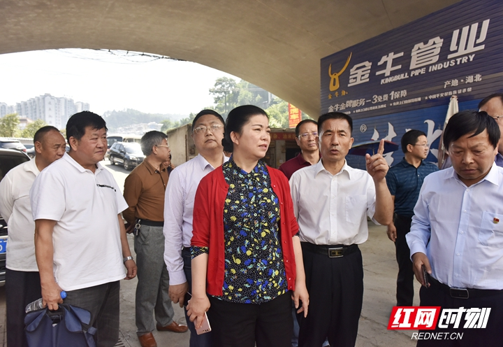 余怀民带队深入永定区督查创卫工作