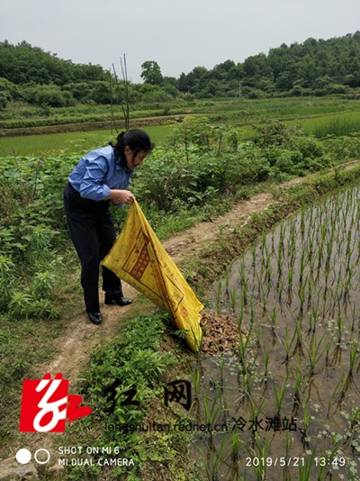 放生野生蛙1_副本.jpg