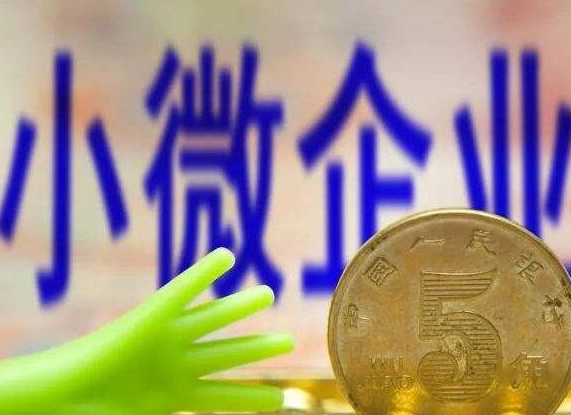 湖南启动“征信助力小微与民营企业融资发展”专题宣传