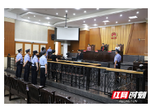 株洲荷塘区法院集中宣判两起涉恶案 19名被告人被判处有期徒刑