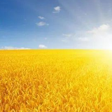 瞄准“两不愁三保障” 用心化解贫困之冰