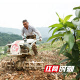 视频｜安化南金村农旅融合打造美丽新乡村