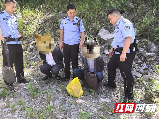 【桑植警事】桑植警方抓获两名冒充医生诈骗老人的违法人员