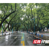 便利交通升级，令大科城精彩蝶变