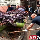 党员带头护蓝天 补绿增绿美家园