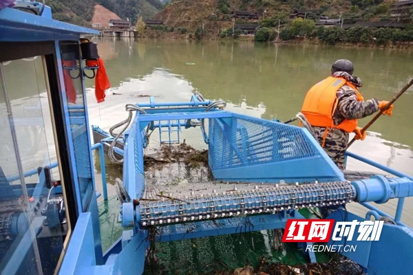 绥宁县：加强河道保护 助力河长制工作常态机制