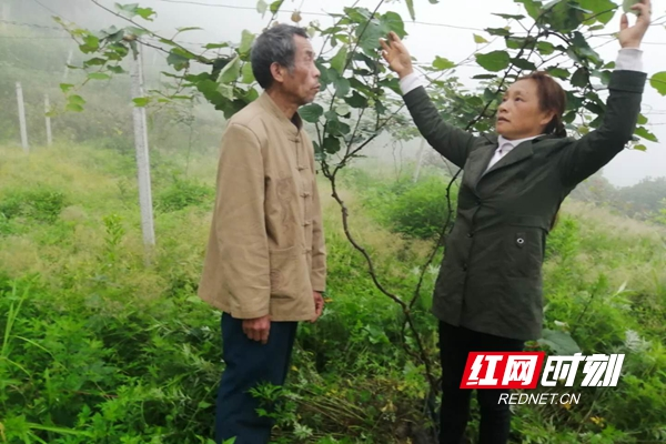 城步茅坪镇桐龙村党员干部喜结穷亲