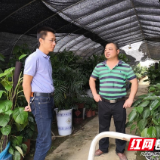 给力“小福星” | 当好“特殊”创业者的“娘家人”