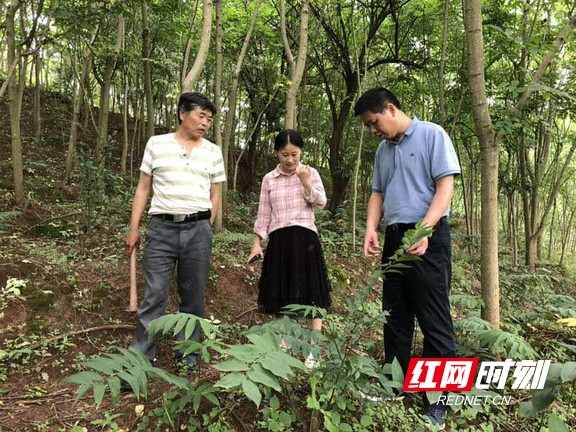 龔小鳳 胡家星 李真 楊李蓉)近日,由中共瀘溪縣委組織部,瀘溪縣科技和