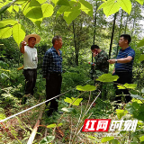 烈日下的一线拆迁工作人员 用实干实现“雷锋速度”