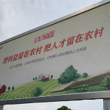 拼多多与中国农业大学签署战略协议 年内将培养2000名新农商人才