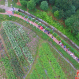 乡村振兴在“路”上 | 公路修到风景里 慧润国际露营基地引游客纷至沓来