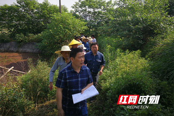 WechatIMG241.jpg WechatIMG241.jpg