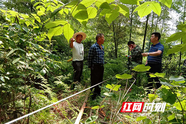 WechatIMG240.jpg WechatIMG240.jpg