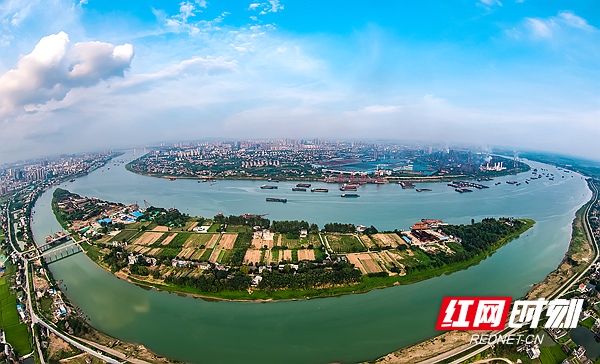 DJI_0036杨梅洲公园.JPG