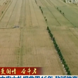 【爱国情 奋斗者】中农大扎根曲周46年 盐碱地变良田