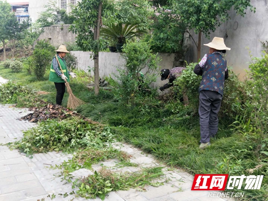 绿地内杂草垃圾清理.jpg