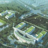 胡衡华调研儿童友好型城市建设工作