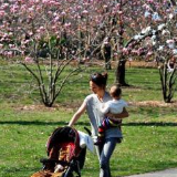 每天到底走多少步能延年益寿? 专家这样说