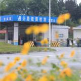 乡村振兴在“路”上 | 望城区：公路治超由“人力”转向“科技”