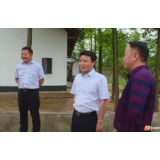 钱丹青到万庾镇调研农村人居环境整治工作