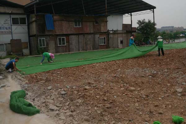 600横.jpg 600横.jpg