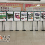 冷水滩：黄阳司镇举办乡村振兴成果图片展