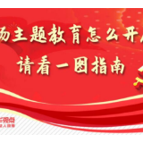 主题教育怎么开展？目标要求和重点措施有哪些？请看一图指南