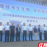 湘西千年芙蓉古镇举行增殖放流活动