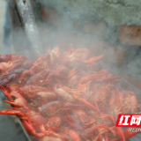 视频｜吃龙虾 游湿地 大通湖举办金盆龙虾美食暨乡村音乐节